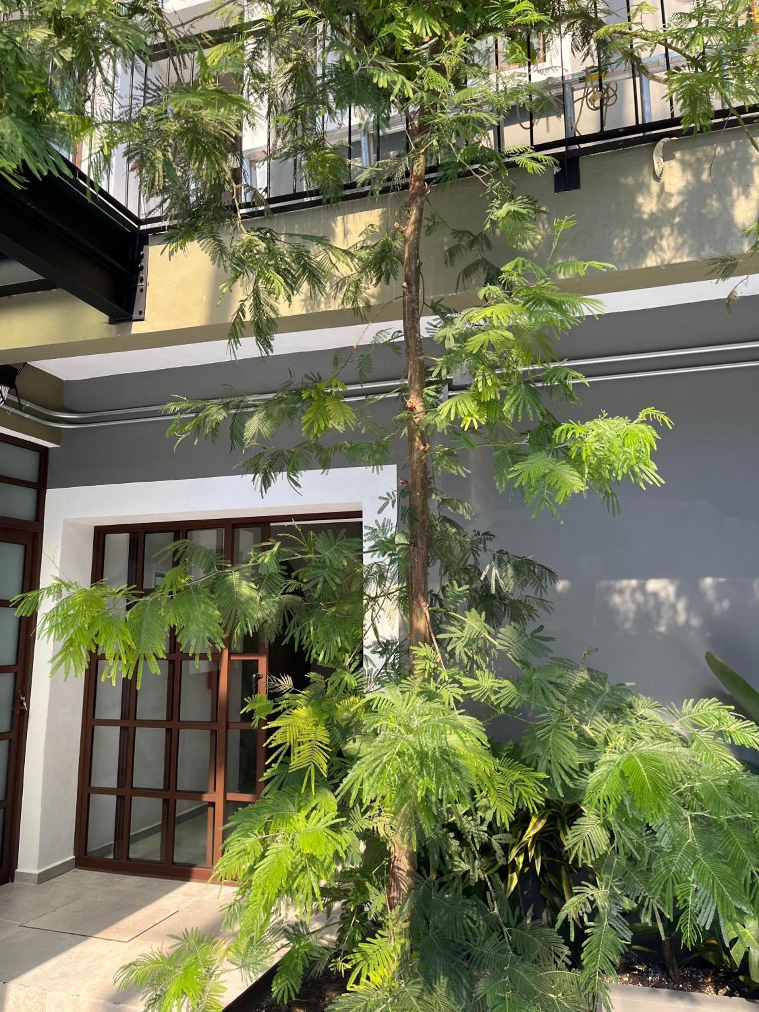 Eonia Hotel Atlixco Exterior photo